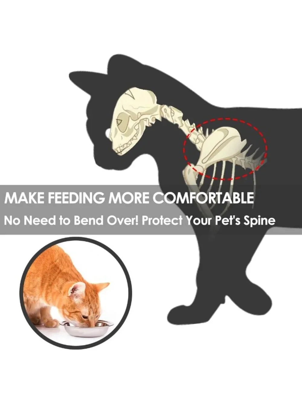 Elevated Cat Bowls Set - Ceramic Dishes with Metal Stand, Whisker Friendly